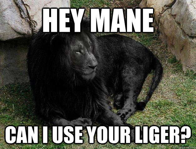 hey mane can i use your liger - Black Lion Problems
