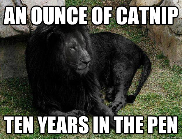 an ounce of catnip ten years in the pen - Black Lion Problems