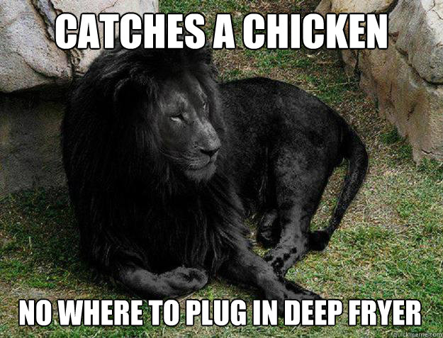 catches a chicken no where to plug in deep fryer - Black Lion Problems