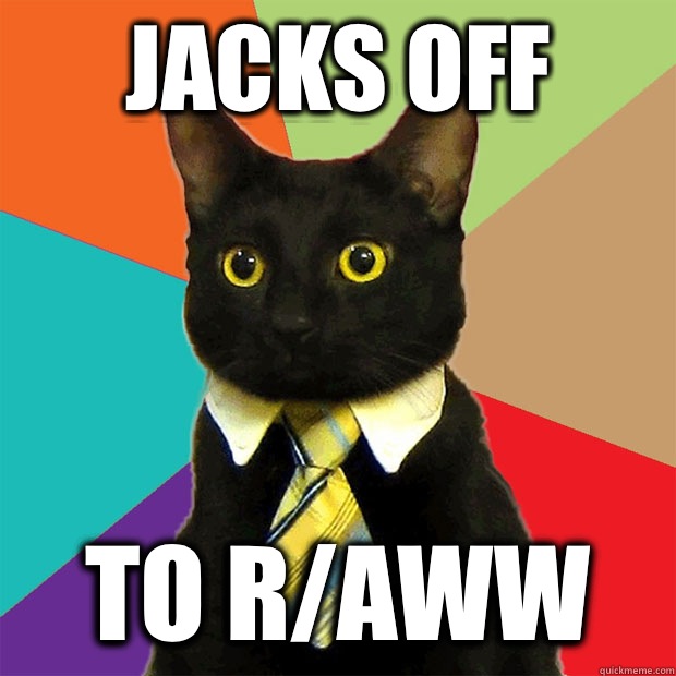 Jacks off To raww - Business Cat