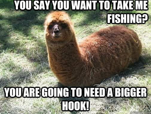 you say you want to take me fishing you are going to need a - Alpacapillar