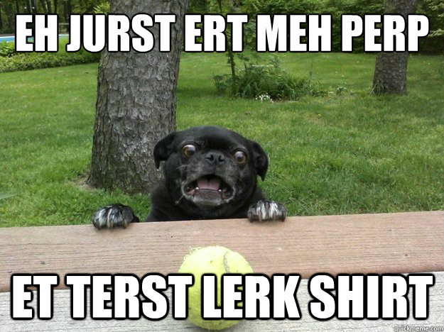 eh jurst ert meh perp et terst lerk shirt - Berks Dog