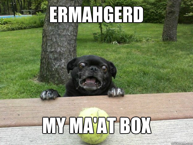 ermahgerd my maat box - Berks Dog