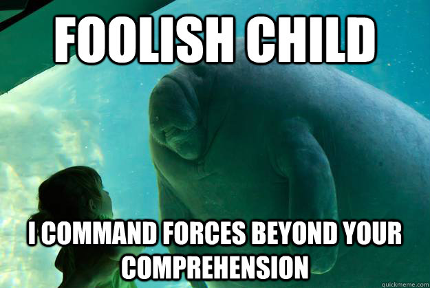 foolish child i command forces beyond your comprehension - Overlord Manatee