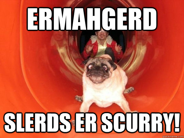 ermahgerd slerds er scurry -