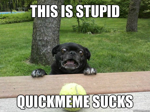 this is stupid quickmeme sucks - Berks Dog