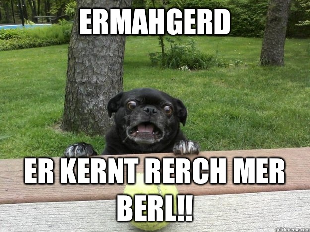 Ermahgerd Er kernt rerch mer berl - Berks Dog