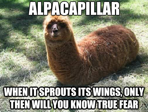 alpacapillar when it sprouts its wings only then will you k - Alpacapillar