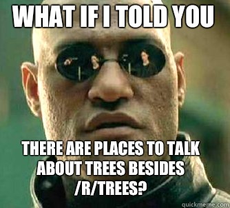 what if i told you there are places to talk about trees besi - Matrix Morpheus