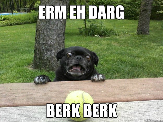 erm eh darg berk berk - Berks Dog