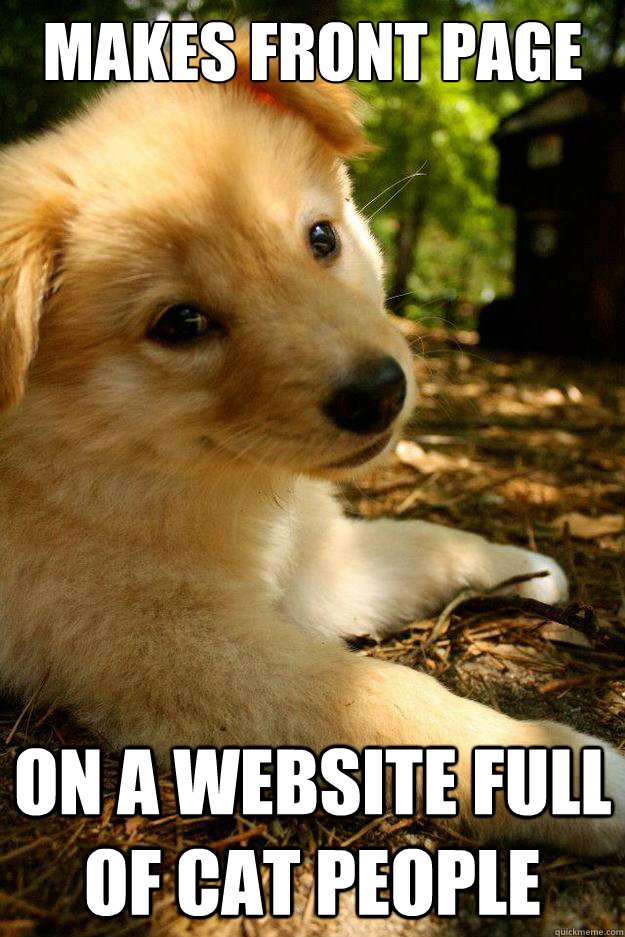 makes front page on a website full of cat people -