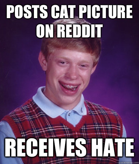 Posts Cat Picture On Reddit Receives Hate - Bad Luck Brian