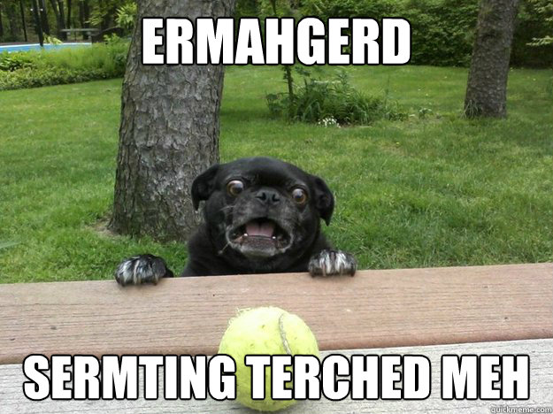 ermahgerd sermting terched meh - Berks Dog