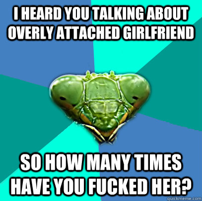 i heard you talking about overly attached girlfriend so how - Crazy Girlfriend Praying Mantis