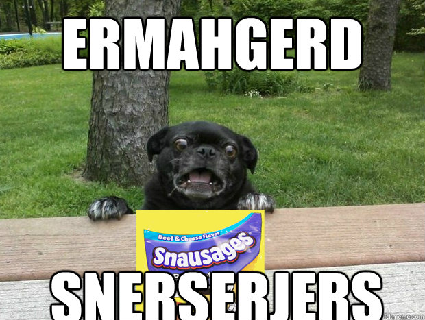 ermahgerd snerserjers - Berks Dog