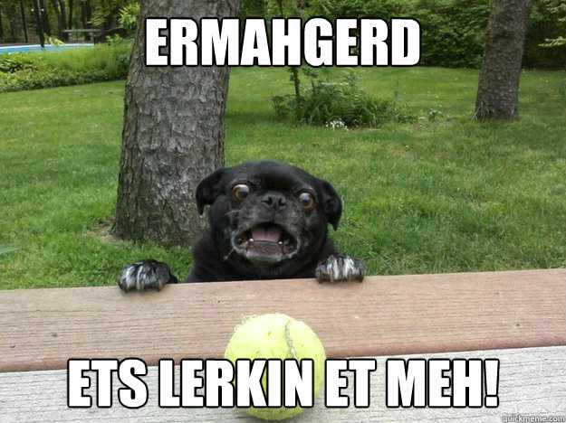 ermahgerd ets lerkin et meh - Berks Dog