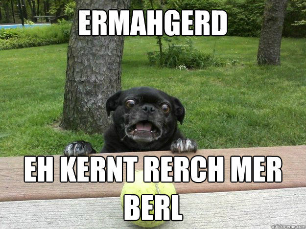 ermahgerd eh kernt rerch mer berl - Berks Dog