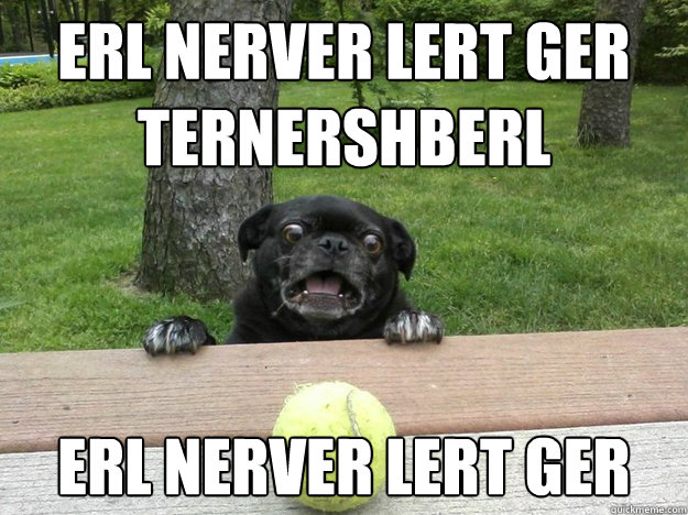 erl nerver lert ger ternershberl erl nerver lert ger - Berks Dog