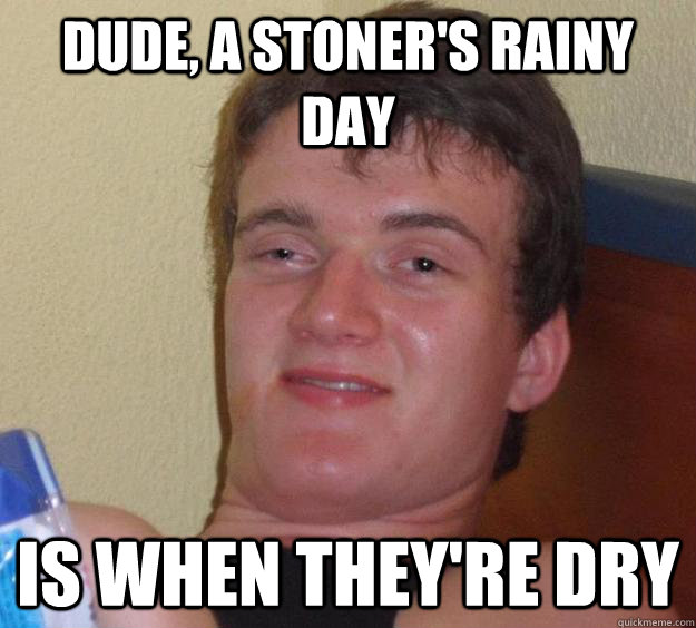 dude a stoners rainy day is when theyre dry - 10 Guy