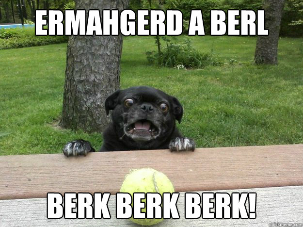 ermahgerd a berl berk berk berk - Berks Dog
