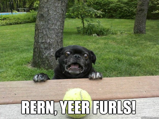 rern yeer furls - Berks Dog