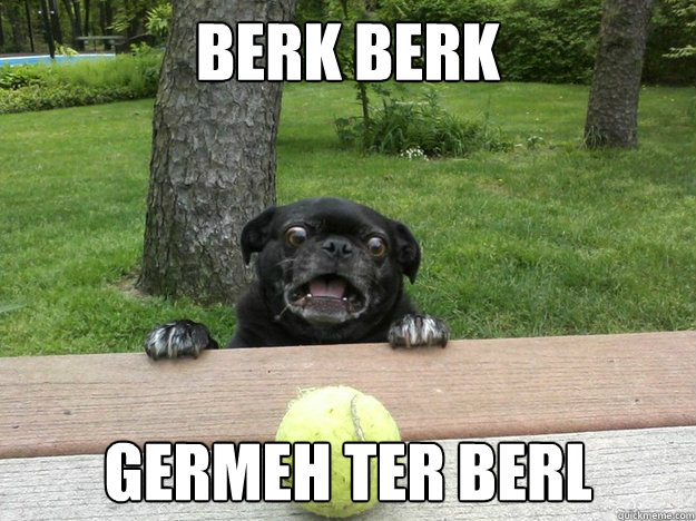 berk berk germeh ter berl - Berks Dog
