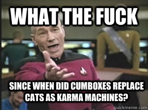what the fuck since when did cumboxes replace cats as karma - Annoyed Picard