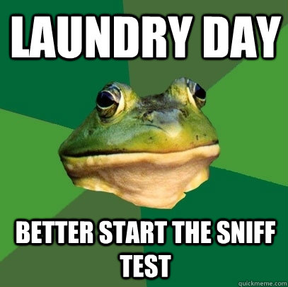 laundry day better start the sniff test - Foul Bachelor Frog