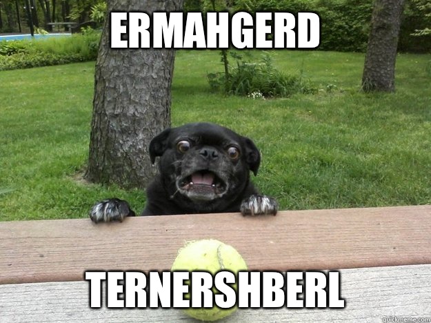 Ermahgerd Ternershberl - Berks Dog