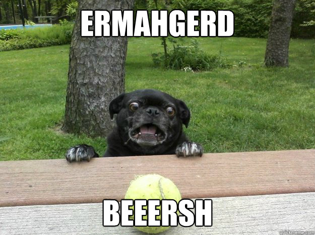 ermahgerd beeersh - Berks Dog