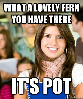 what a lovely fern you have there its pot - Sheltered College Freshman