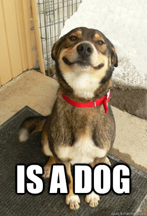 is a dog - Good Dog Greg