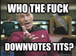 who the fuck downvotes tits - Annoyed Picard