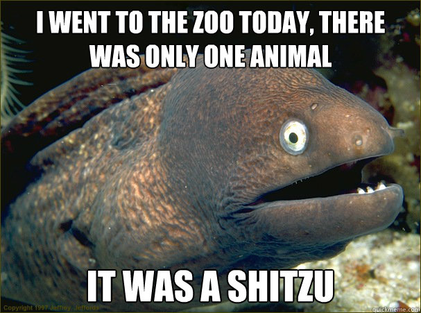 i went to the zoo today there was only one animal it was a - Bad Joke Eel