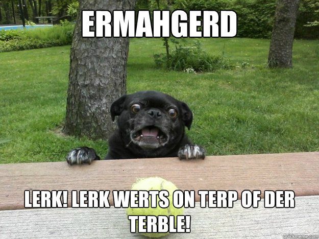 ermahgerd lerk lerk werts on terp of der terble - Berks Dog