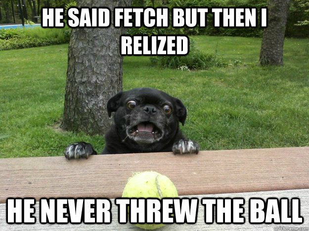 he said fetch but then i relized he never threw the ball - Berks Dog