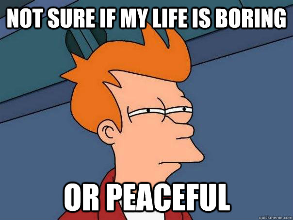 not sure if my life is boring or peaceful - Futurama Fry