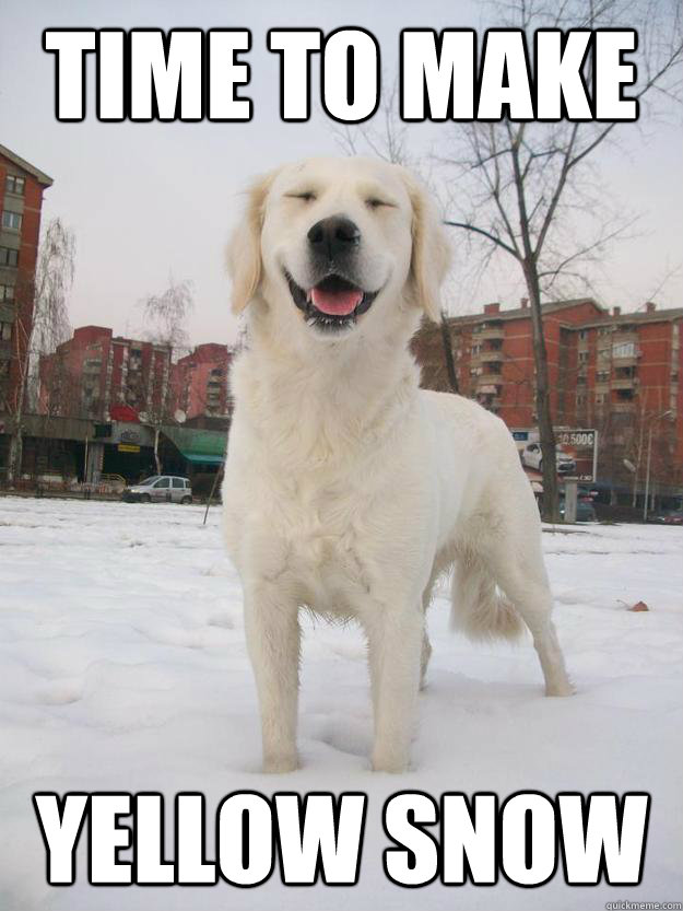 time to make yellow snow - Stoned snow dog