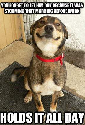you forget to let him out because it was storming that morni - Good Dog Greg