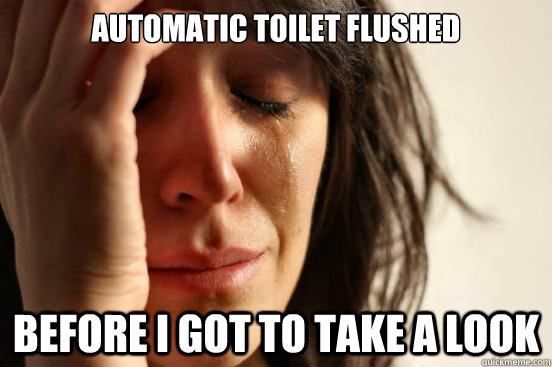 automatic toilet flushed before i got to take a look - First World Problems