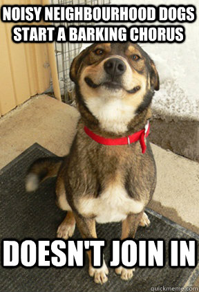 noisy neighbourhood dogs start a barking chorus doesnt join - Good Dog Greg
