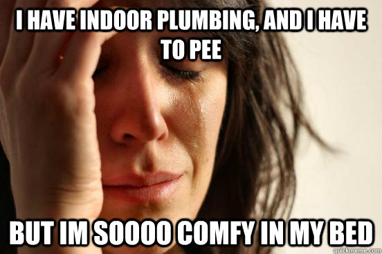 i have indoor plumbing and i have to pee but im soooo comfy - First World Problems
