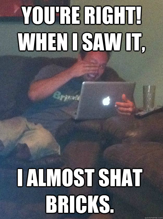 youre right when i saw it i almost shat bricks - Meme Dad