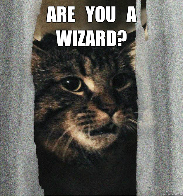are you a wizard - kittywizard2