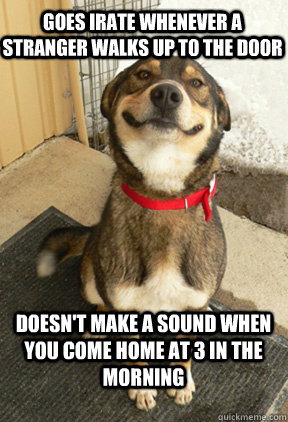 goes irate whenever a stranger walks up to the door doesnt - Good Dog Greg
