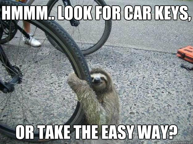 hmmm look for car keys or take the easy way - LuvSloth
