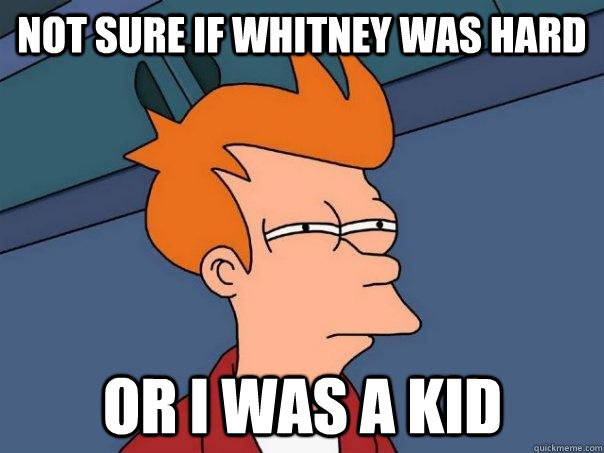 not sure if whitney was hard or i was a kid - Futurama Fry
