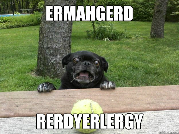 ermahgerd rerdyerlergy - Berks Dog