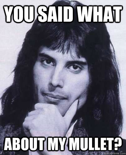 you said what about my mullet - Good Guy Freddie Mercury