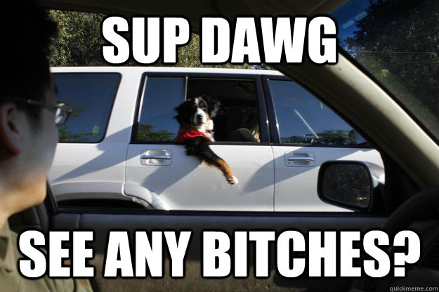 sup dawg see any bitches - SupDawg